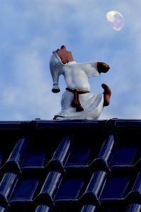 slaapstoornis slaapwandelen